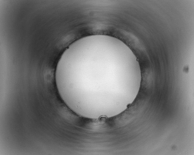 X0000103960278200809191518