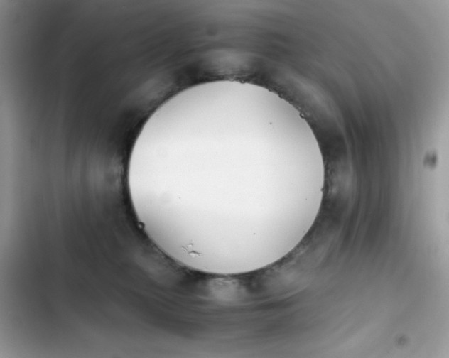 X0000103960279200809191518