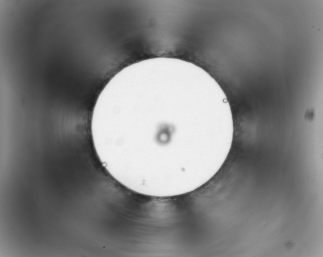 X0000103960280200809191518