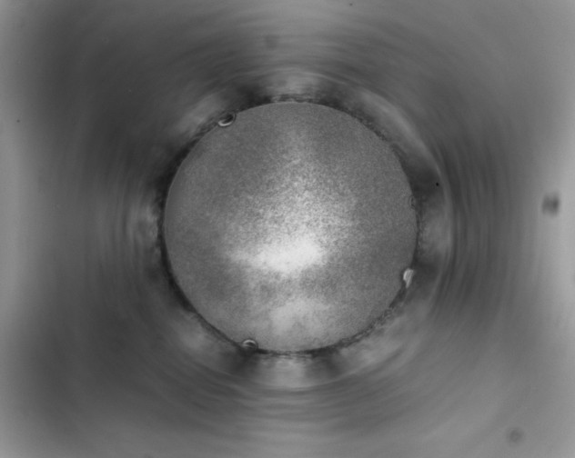 X0000103960282200809191518
