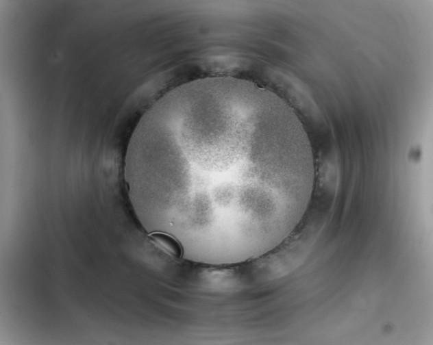 X0000103960283200809191518