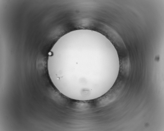 X0000103960284200809191518