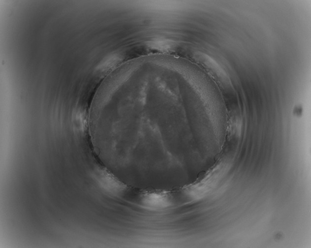 X0000103960285200809191518