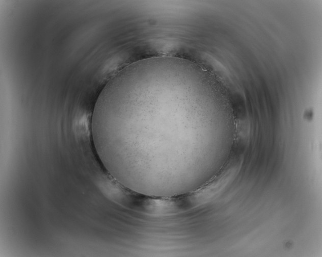 X0000103960286200809191518