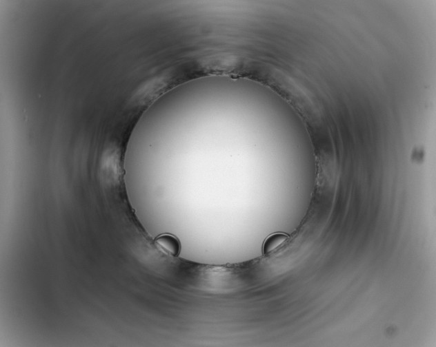 X0000103960287200809191518