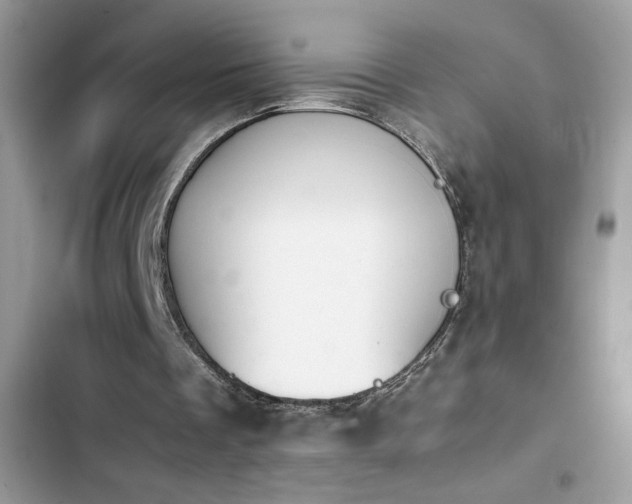X0000103960289200809191517