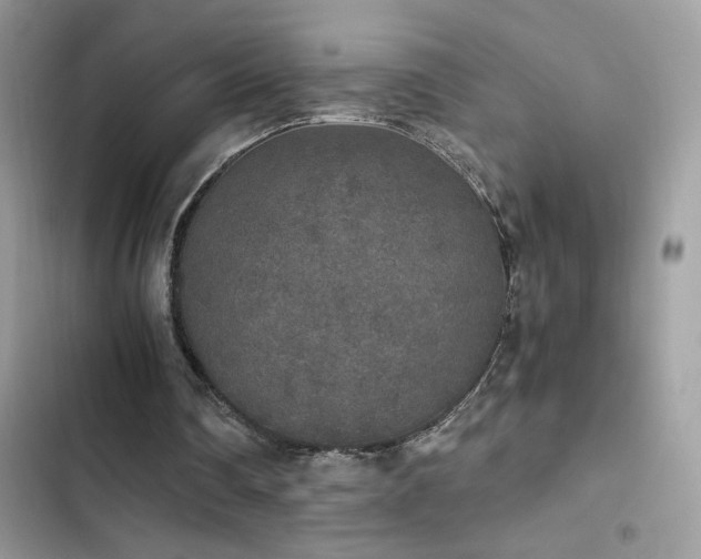 X0000103960290200809191517