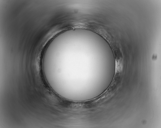X0000103960291200809191517