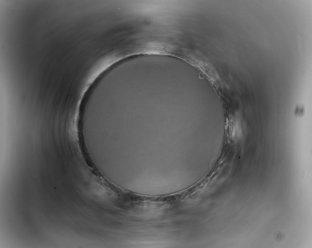 X0000103960292200809191517