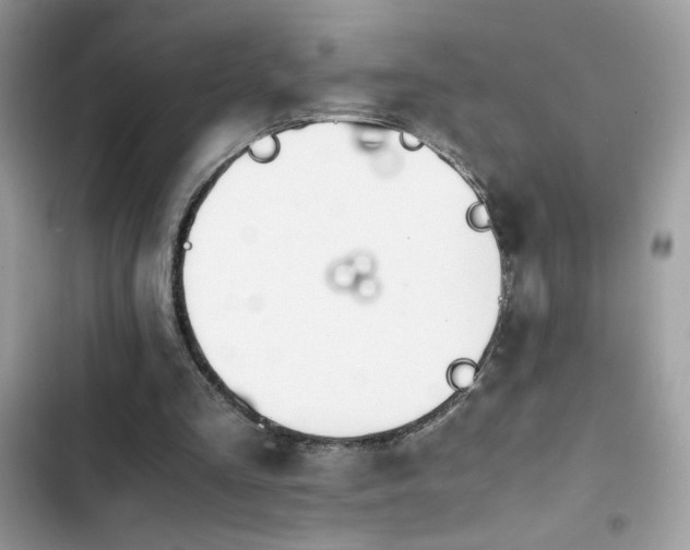 X0000103960293200809191517