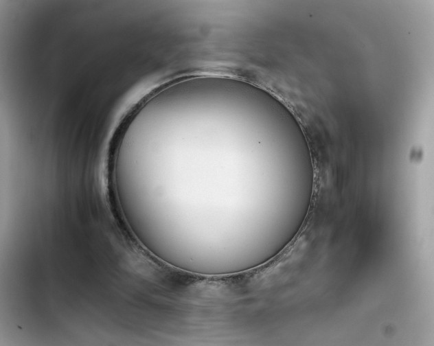 X0000103960294200809191517