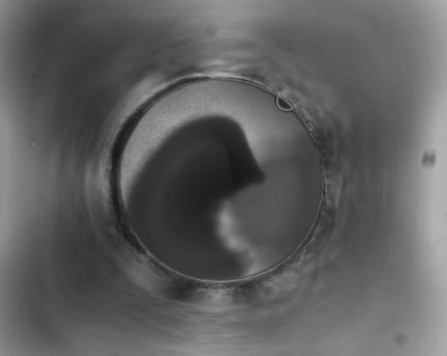 X0000103960295200809191517