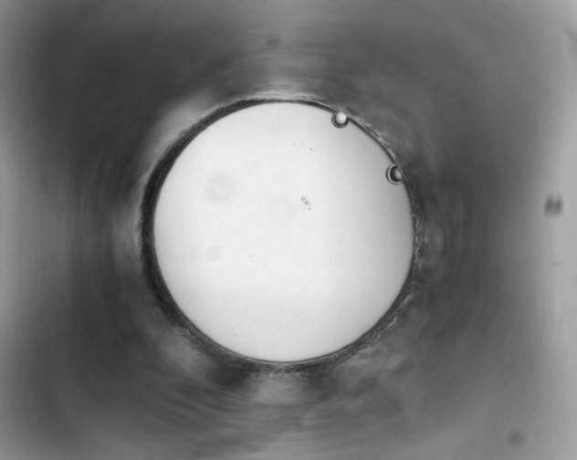 X0000103960296200809191517