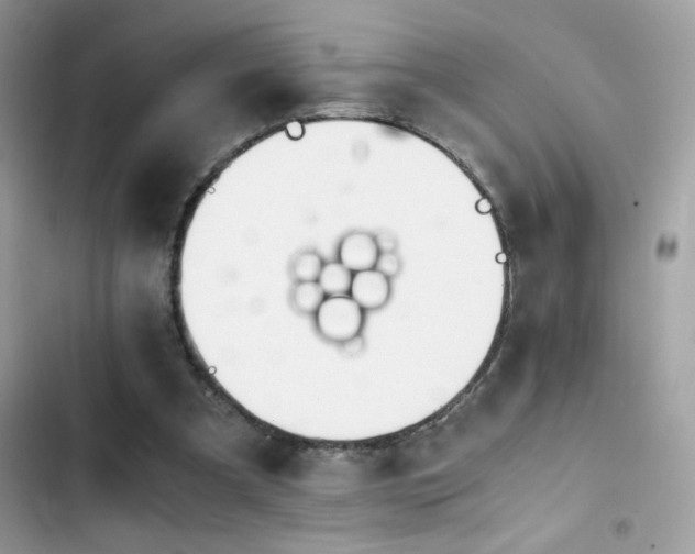 X0000103960297200809191517