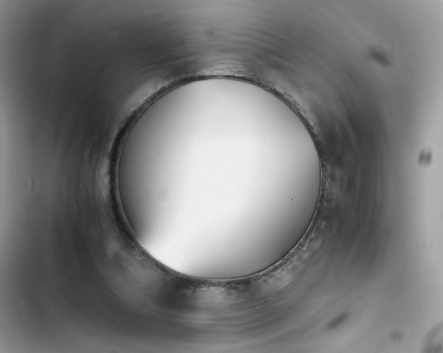 X0000103960298200809191517
