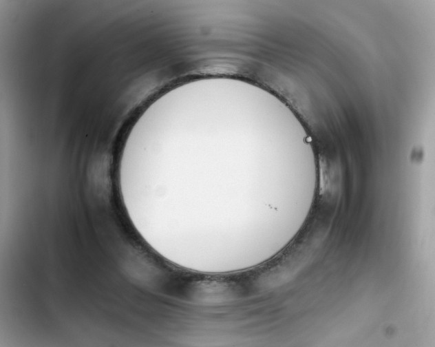 X0000103960300200809191517