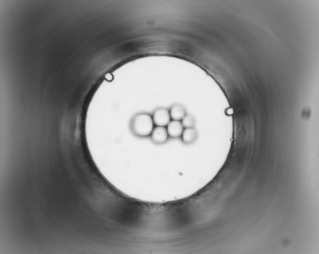 X0000103960301200809191517