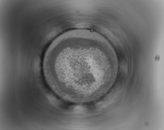 X0000103960303200809191517