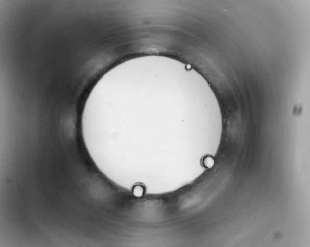 X0000103960304200809191517