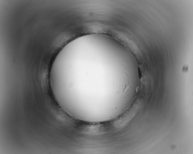X0000103960306200809191517