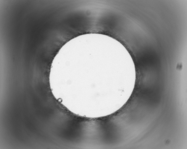 X0000103960307200809191517