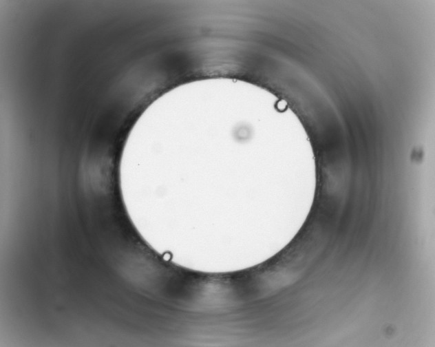 X0000103960308200809191517