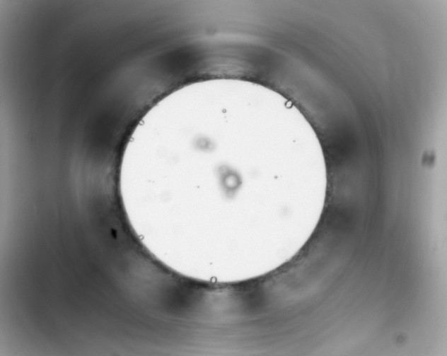 X0000103960309200809191517