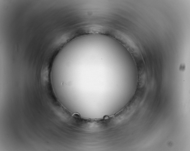 X0000103960310200809191517