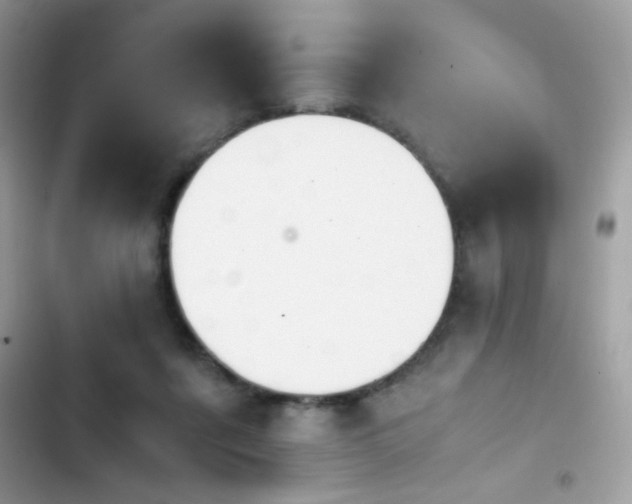 X0000103960311200809191517