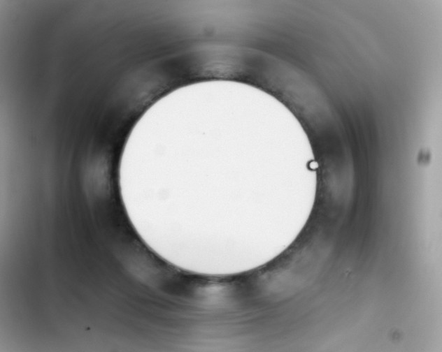 X0000103960312200809191517