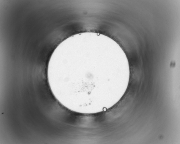 X0000103960313200809191517
