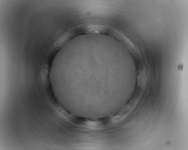 X0000103960314200809191517