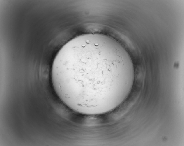 X0000103960315200809191517