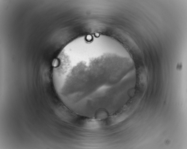 X0000103960316200809191517