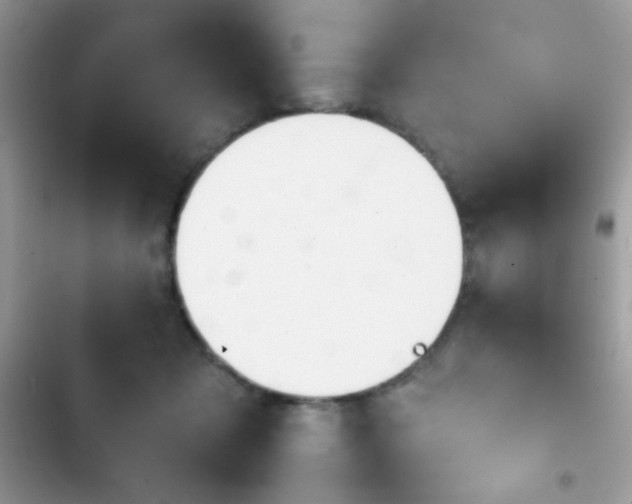 X0000103960317200809191517