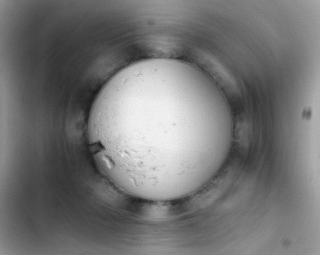 X0000103960318200809191517