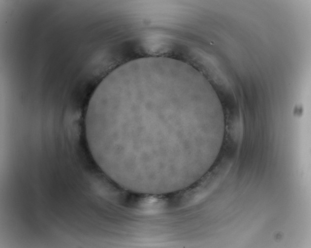 X0000103960319200809191517