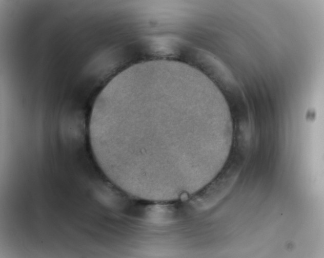 X0000103960320200809191517