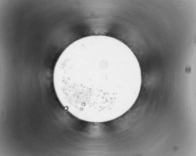 X0000103960321200809191517