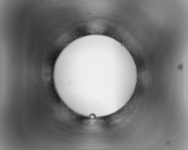 X0000103960323200809191517