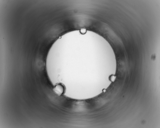 X0000103960324200809191517