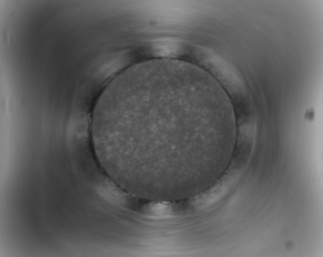 X0000103960325200809191517