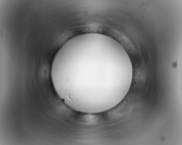 X0000103960326200809191517