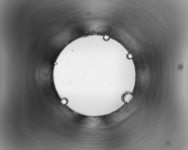 X0000103960328200809191517