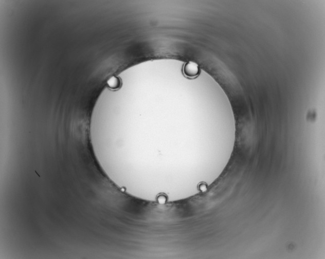 X0000103960329200809191517