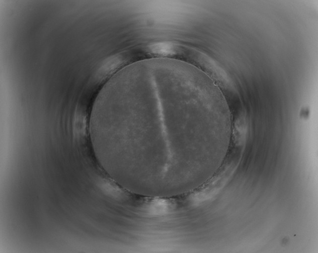 X0000103960330200809191517