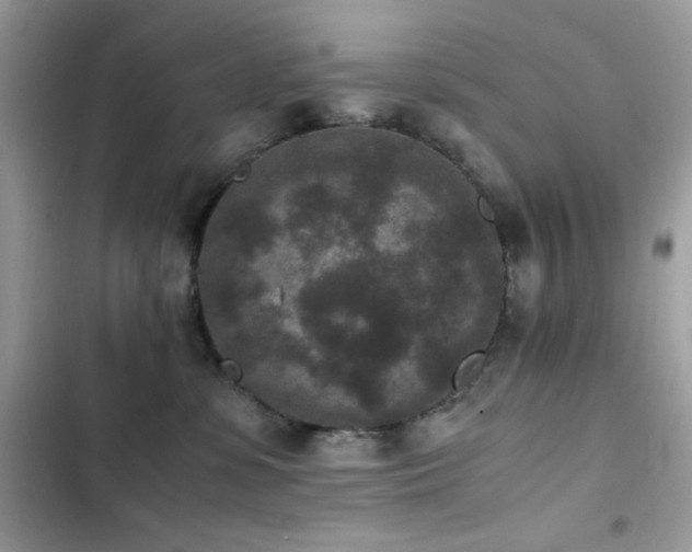 X0000103960331200809191517