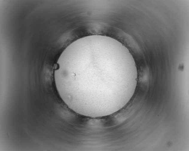X0000103960332200809191517