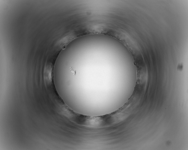 X0000103960334200809191517