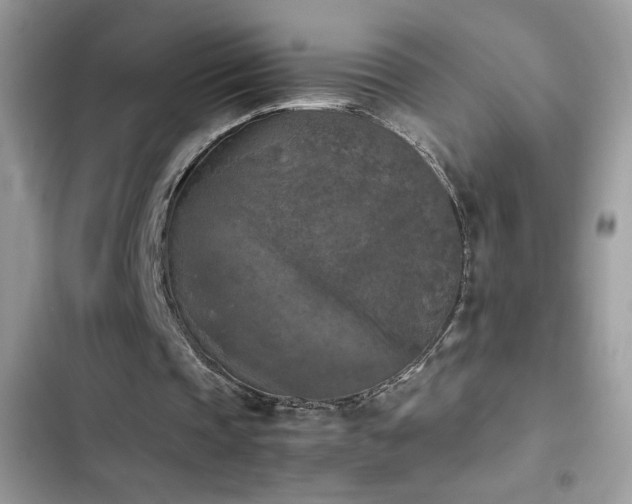 X0000103960337200809191516
